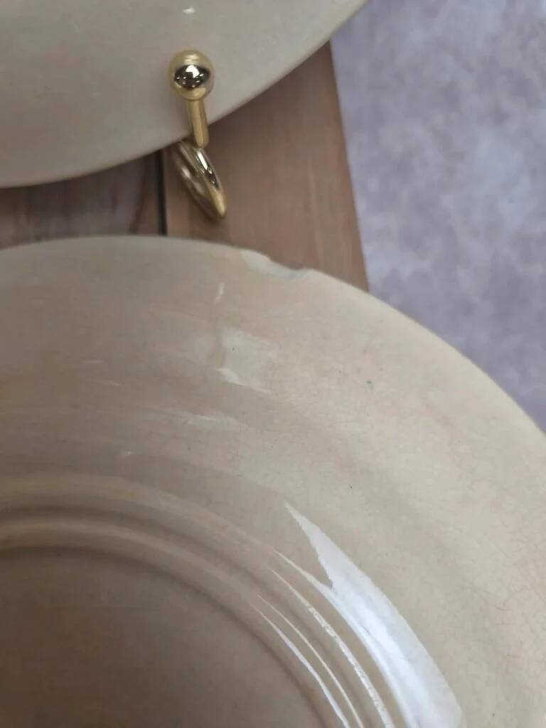 Set of 6 antique flat plates Gien – Terre de Fer – Bengal model