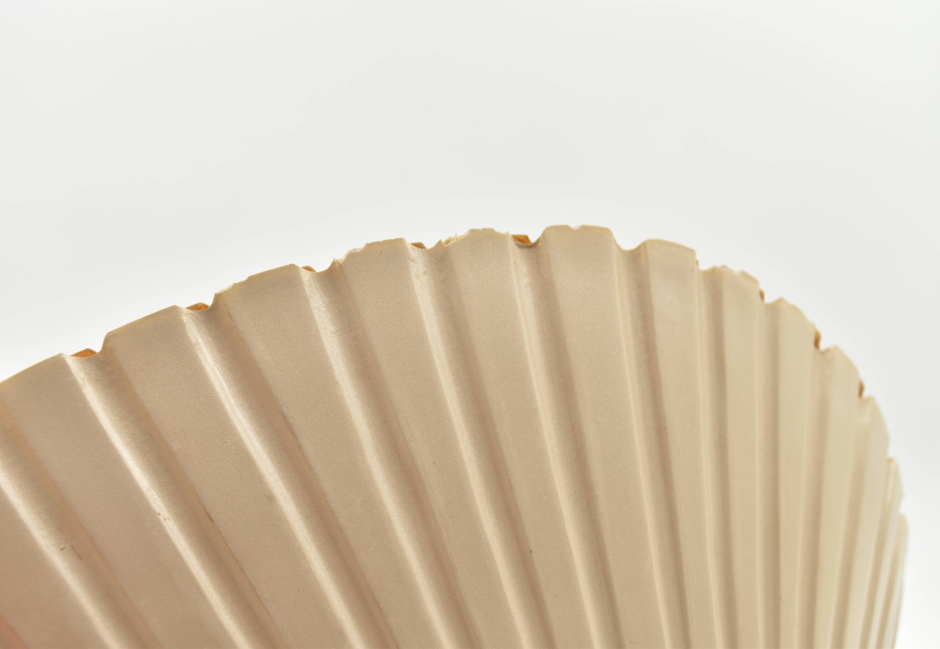 Lamp shell Saint Jacques fiber