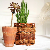 Raw wicker pot
