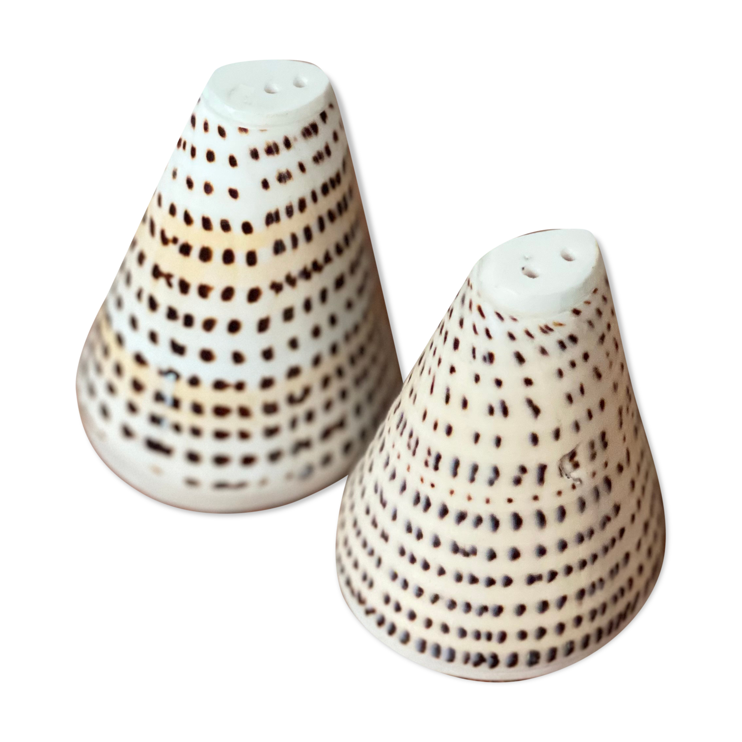 Vintage bohemian tiger shell salt and pepper shaker