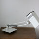 Fase articulated lamp