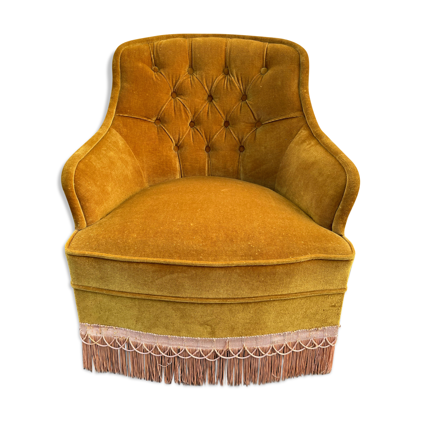 Padded golden yellow velvet toad