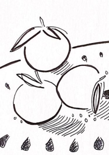 Illustration "Savour" - A4