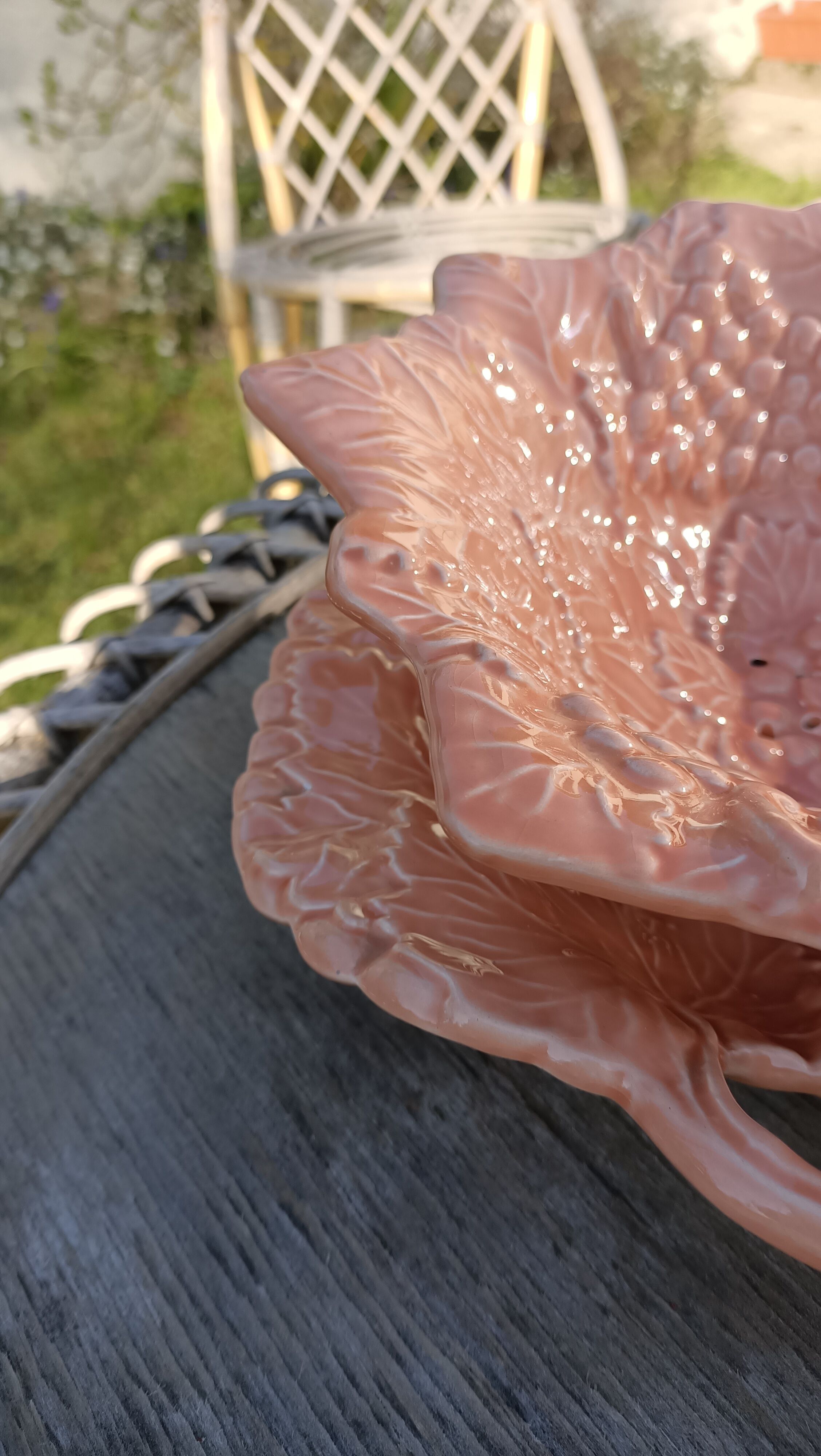 Drainer and slurry dish