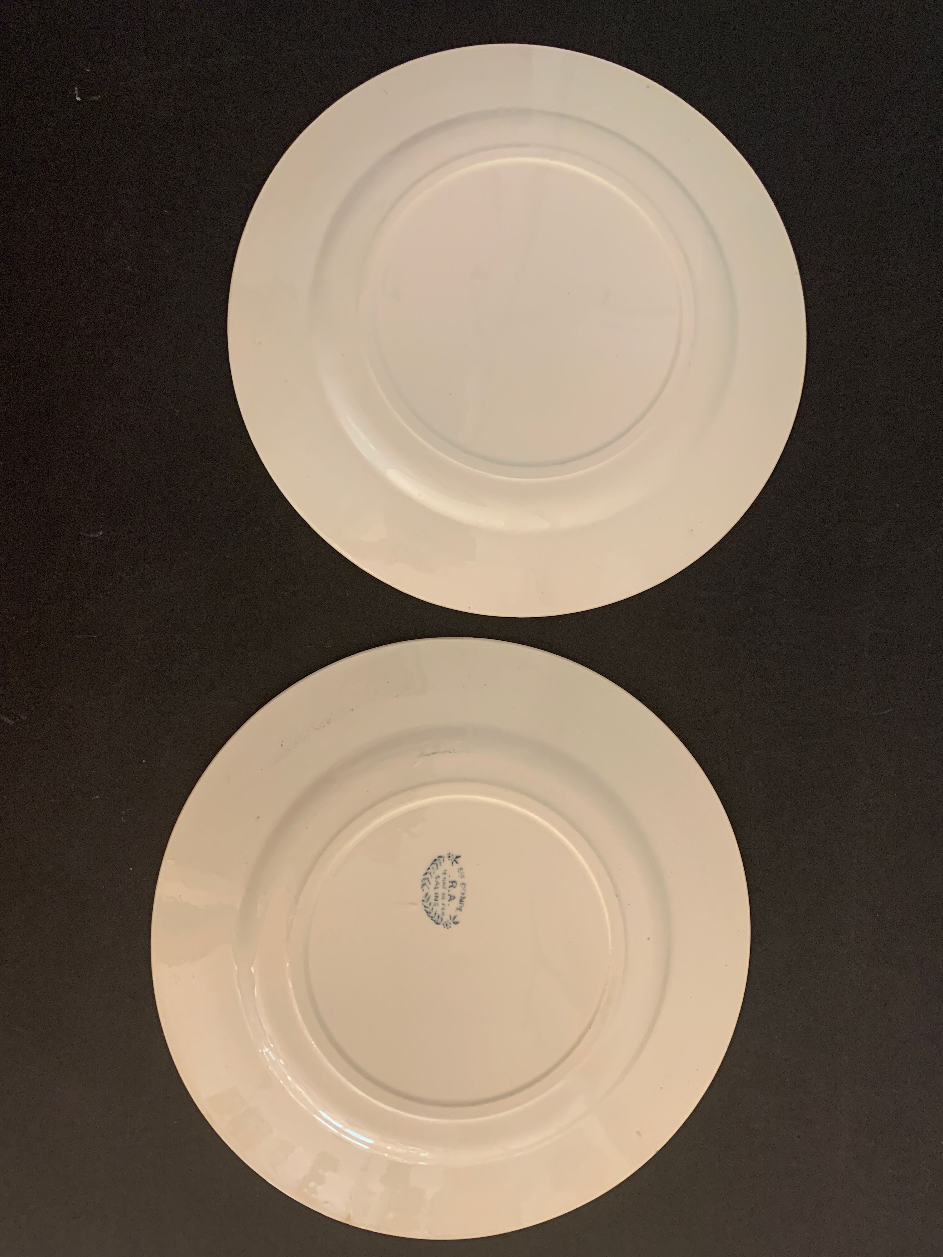 8 flat plates old Iron Earth, Salins, Condé service