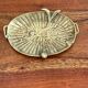 Empty brass snail pocket
