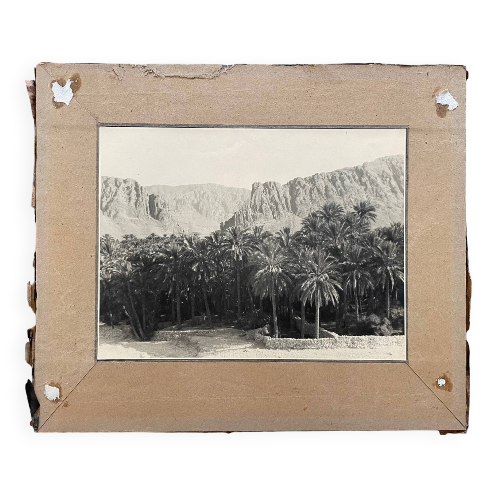 Old photograph collection Algeria Oasis El Kantara Circa 1950
