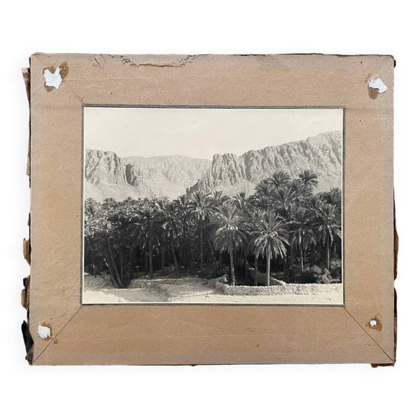 Photographie ancienne collection Algérie Oasis El Kantara Circa 1950