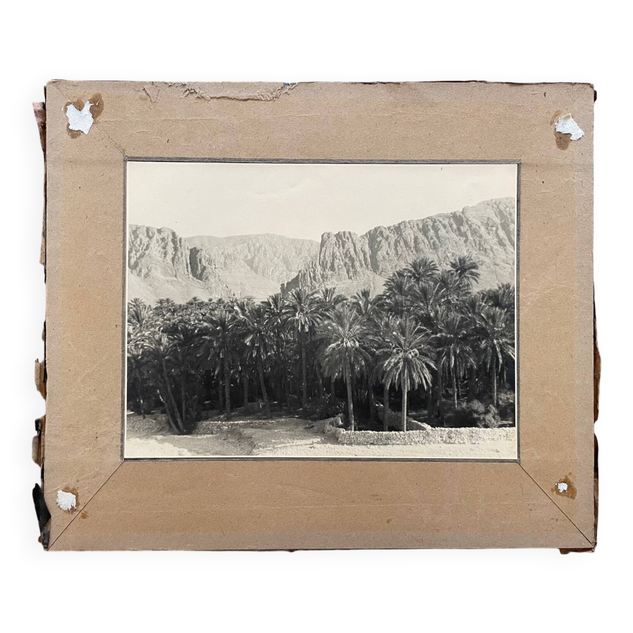 Photographie ancienne collection Algérie Oasis El Kantara Circa 1950