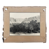 Old photograph collection Algeria Oasis El Kantara Circa 1950