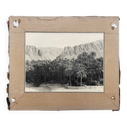 Photographie ancienne collection Algérie Oasis El Kantara Circa 1950