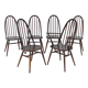 Set of 6 dining windsor chairs by Lucian Ercolani, italy, 1960