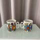 Pair of Villeroy & Boch Acapulco Mugs | 1970s Floral Design