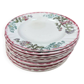 Série de 12 assiettes plates Longwy, modèle Chrysanthèmes