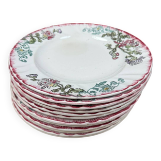 Série de 12 assiettes plates Longwy, modèle Chrysanthèmes