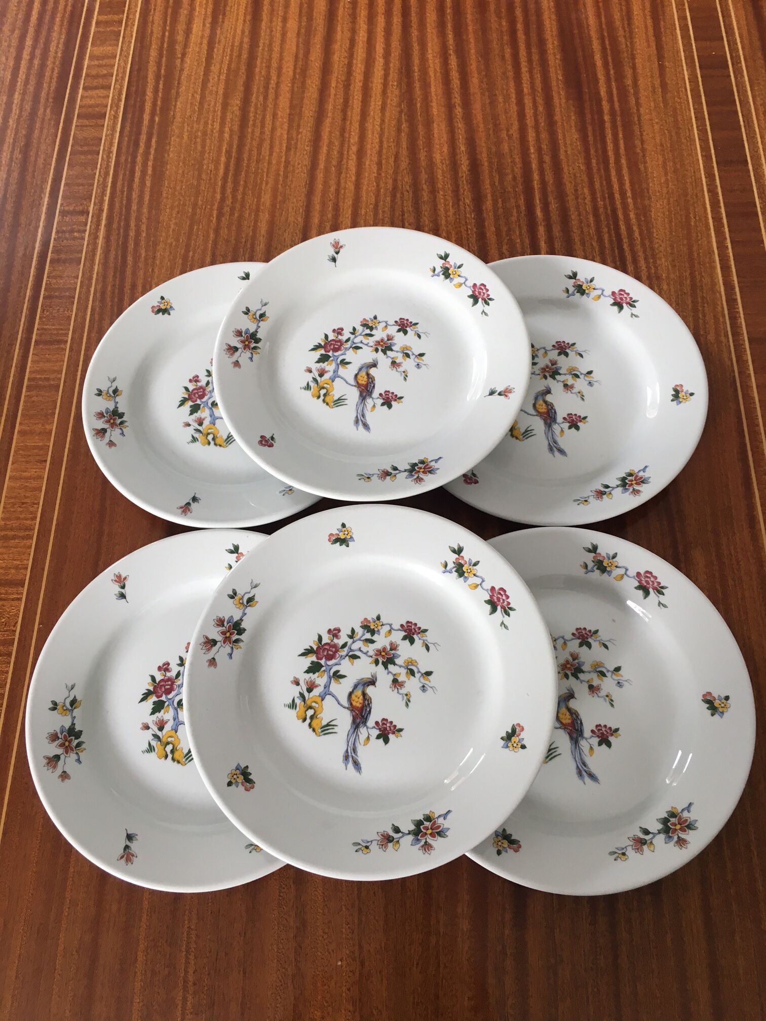 Set of 6 plates Sarreguemines condé model