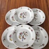 Set of 6 plates Sarreguemines condé model