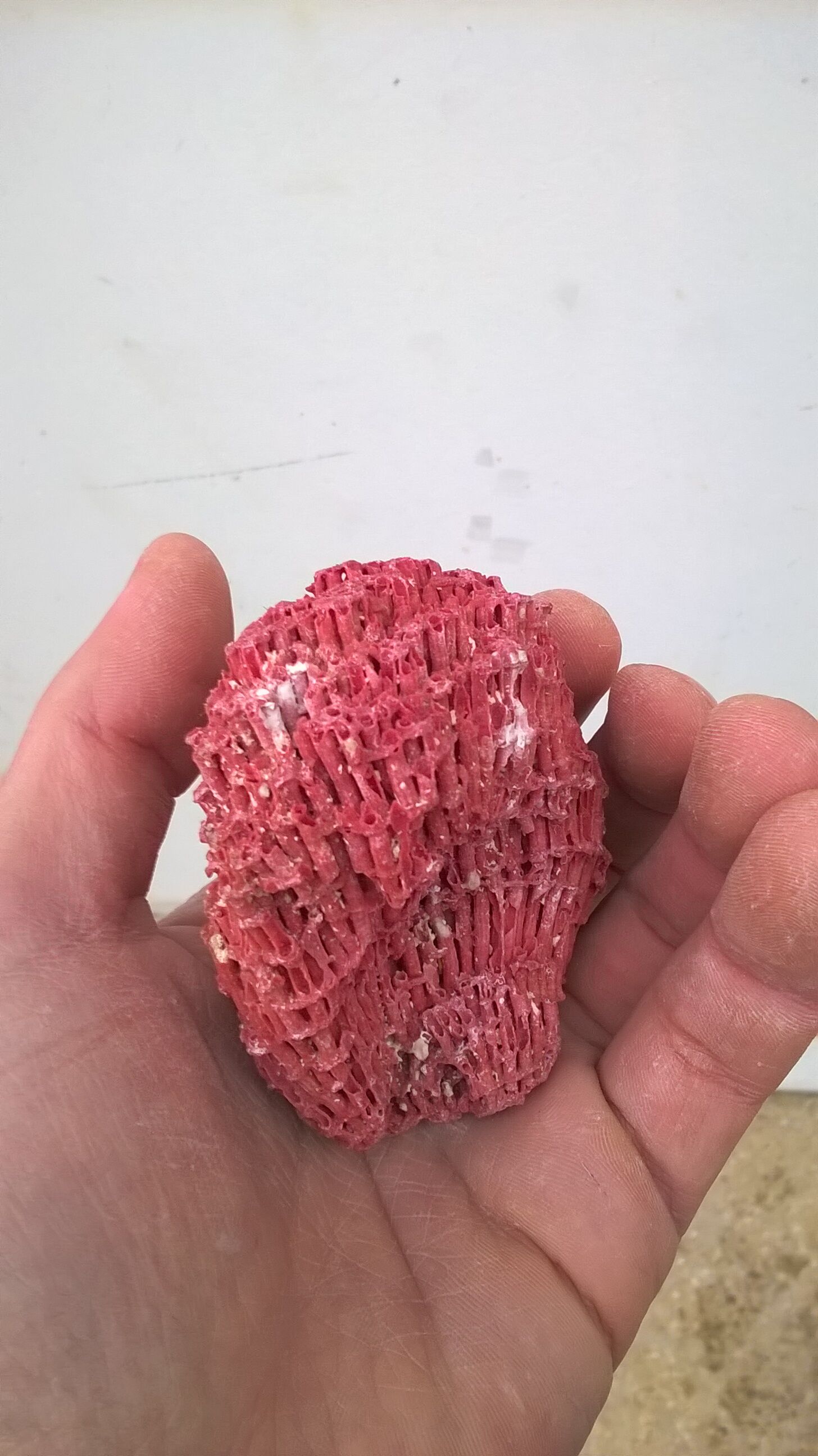 Vintage red coral duo