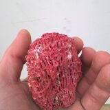 Vintage red coral duo