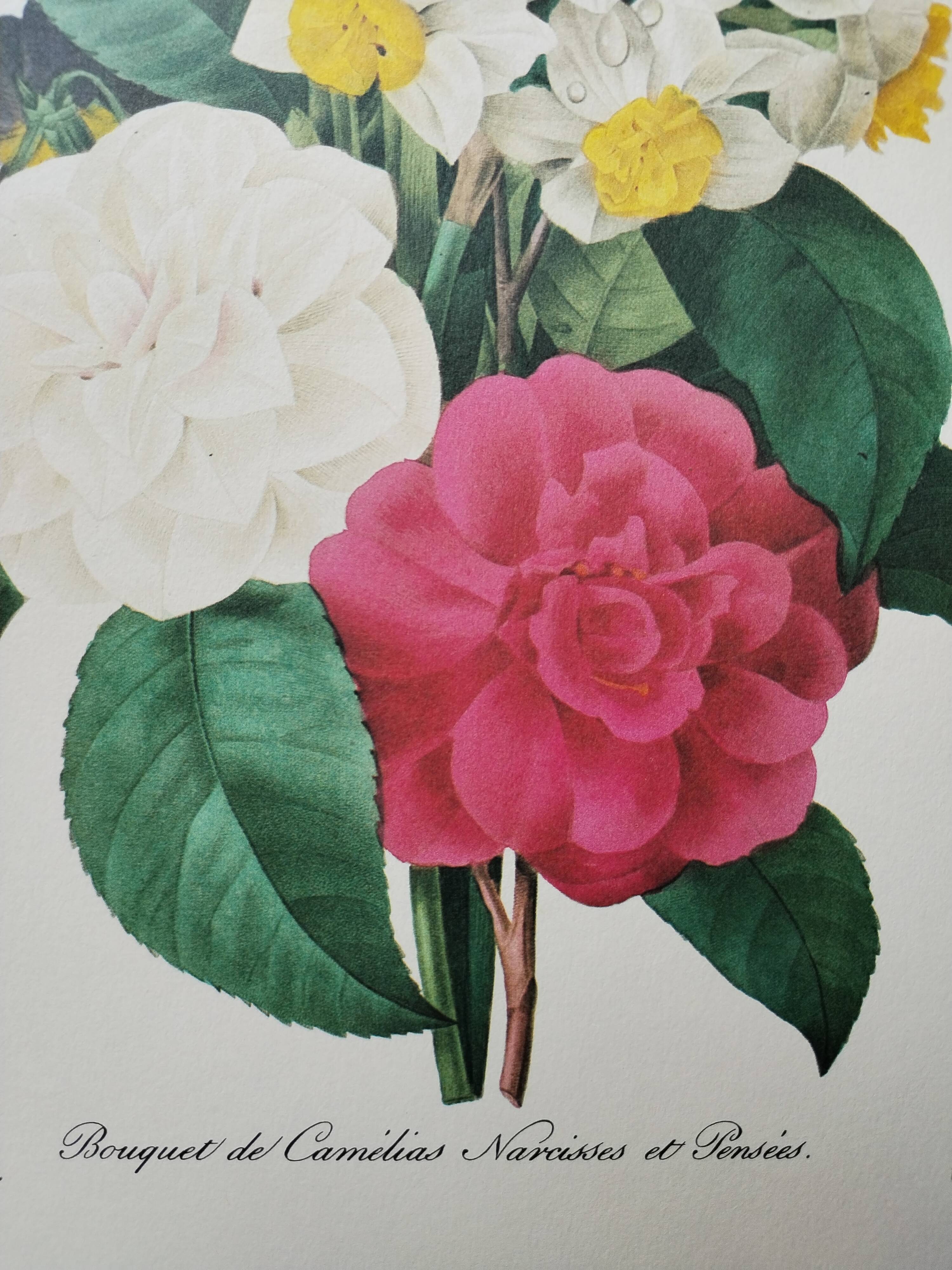 Original illustrated plate Bouquet of camellias, daffodils and pansies