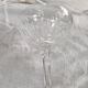 1 Val Saint Lambert crystal champagne glass, Nestor model, Hamle cut