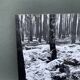 Photo argentique Bernard Darot XXe AFIAP Photo Club Nantais En Forêt
