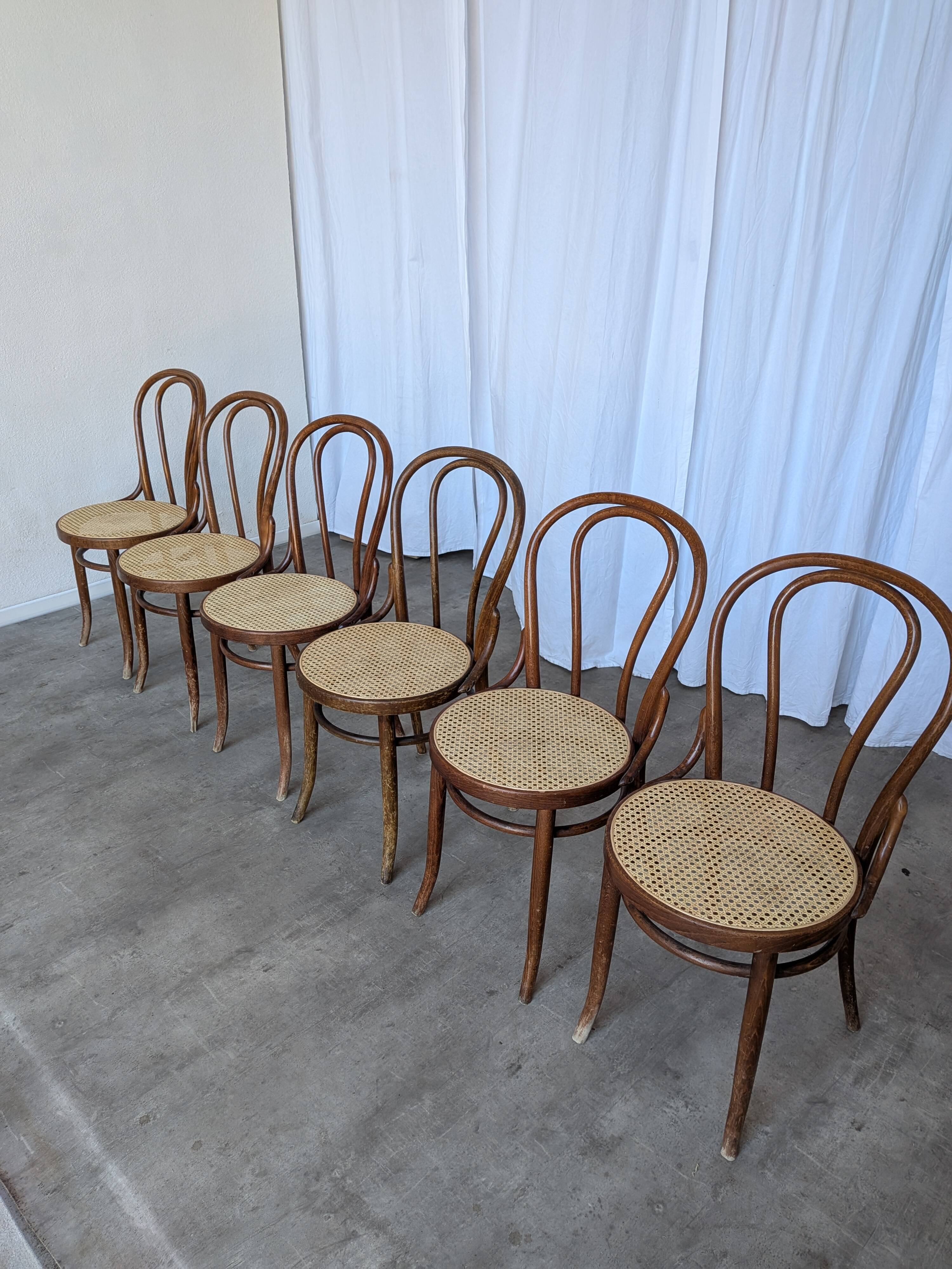 Set of 6 Bentwood Dining Chairs with Cane Seat / Bistro Thonet Style Chairs