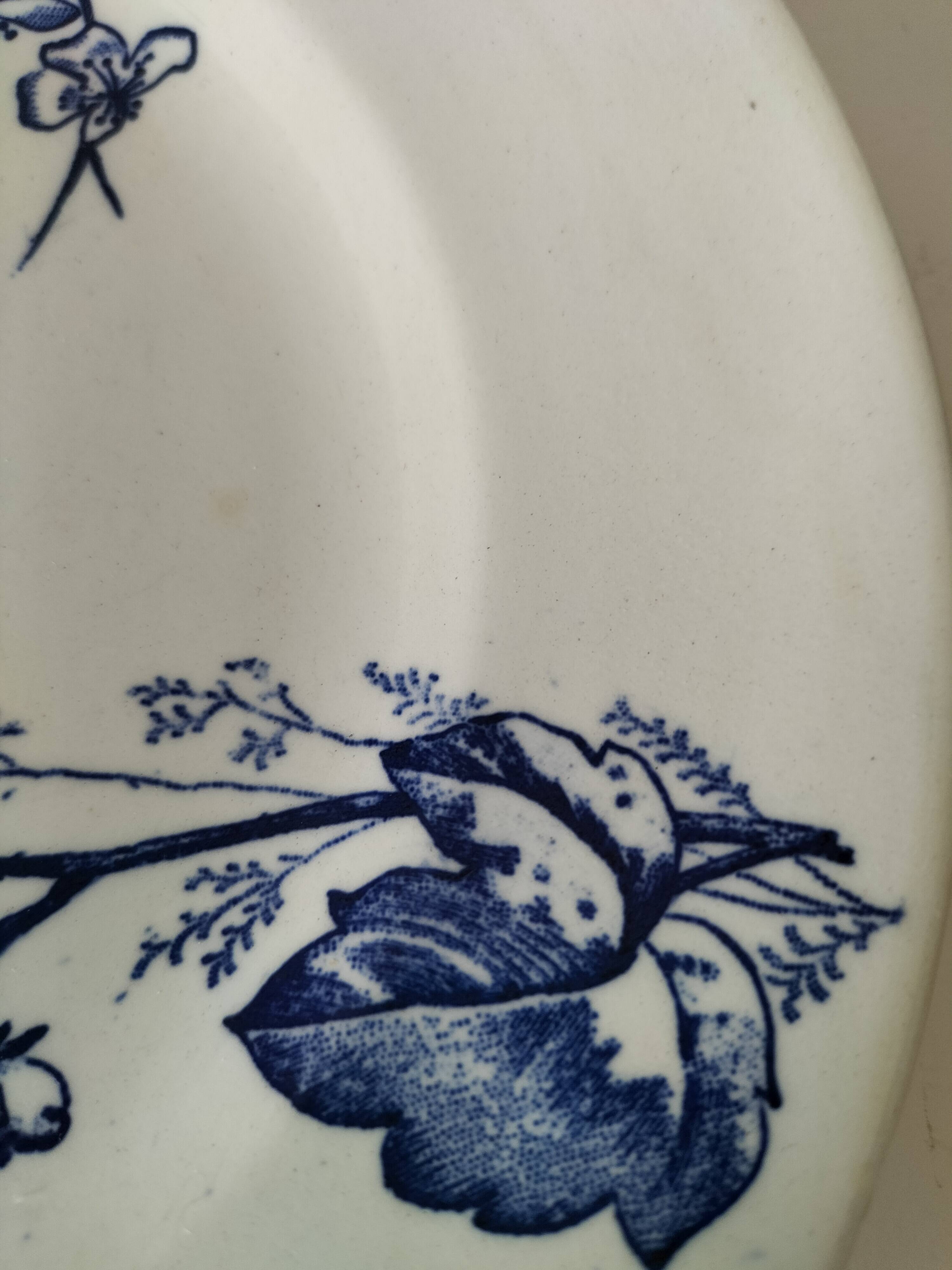 Pair of Longchamp plates 1880-1900 – Rare naturalistic floral decoration