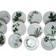13-piece Dibbern Herbaticum porcelain dessert set circa 1980