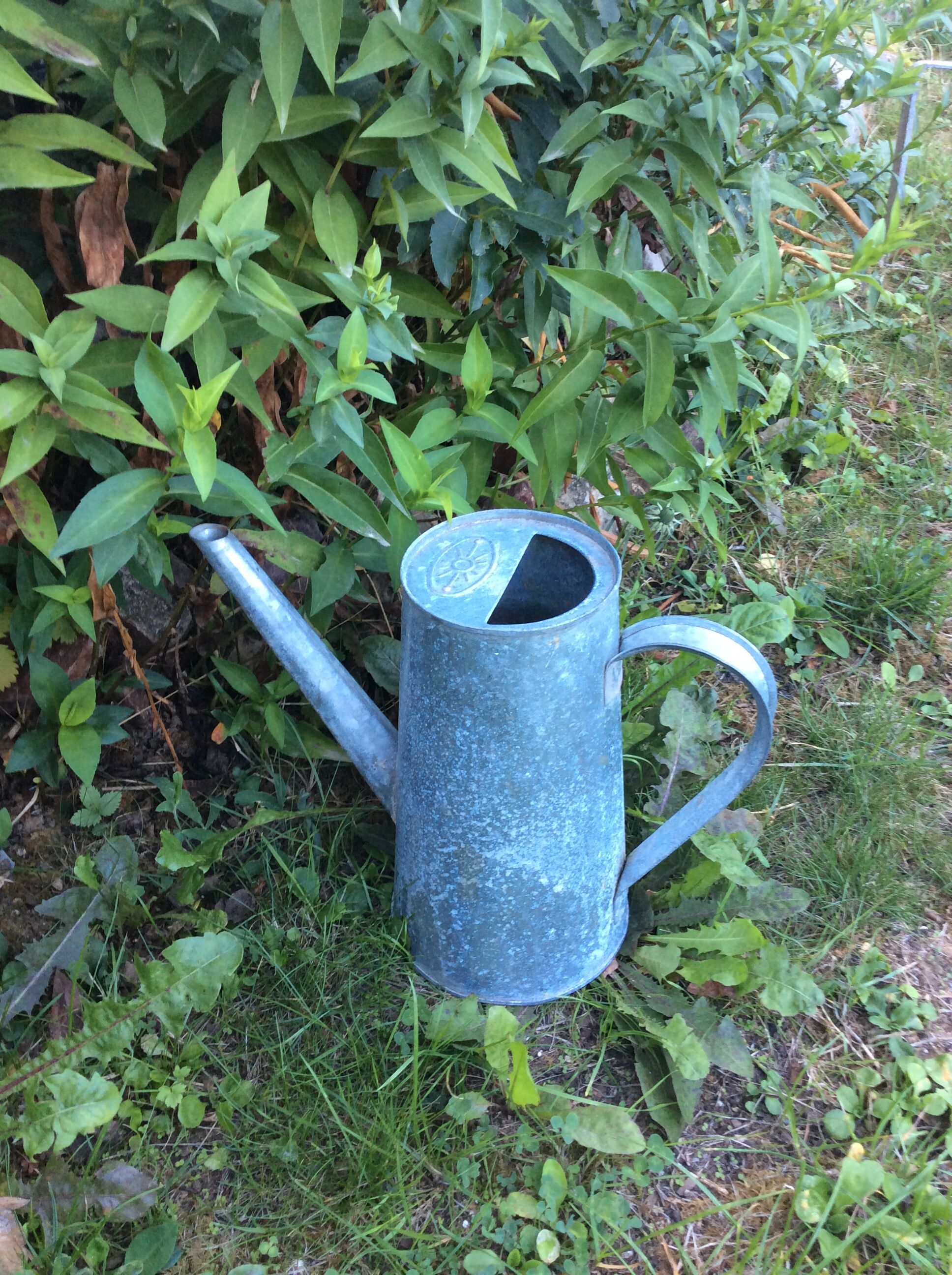 Vintage zinc broc