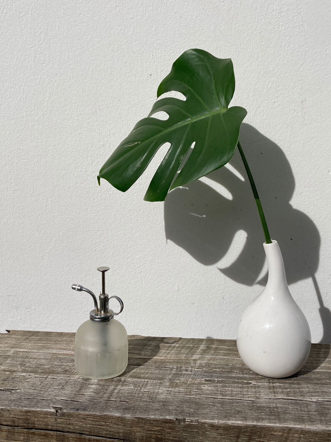 Plant sprayer opaque glass and metal