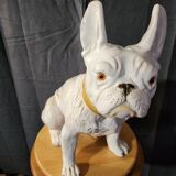 Bouledogue français en céramique manufacture de bavent 1900 france.