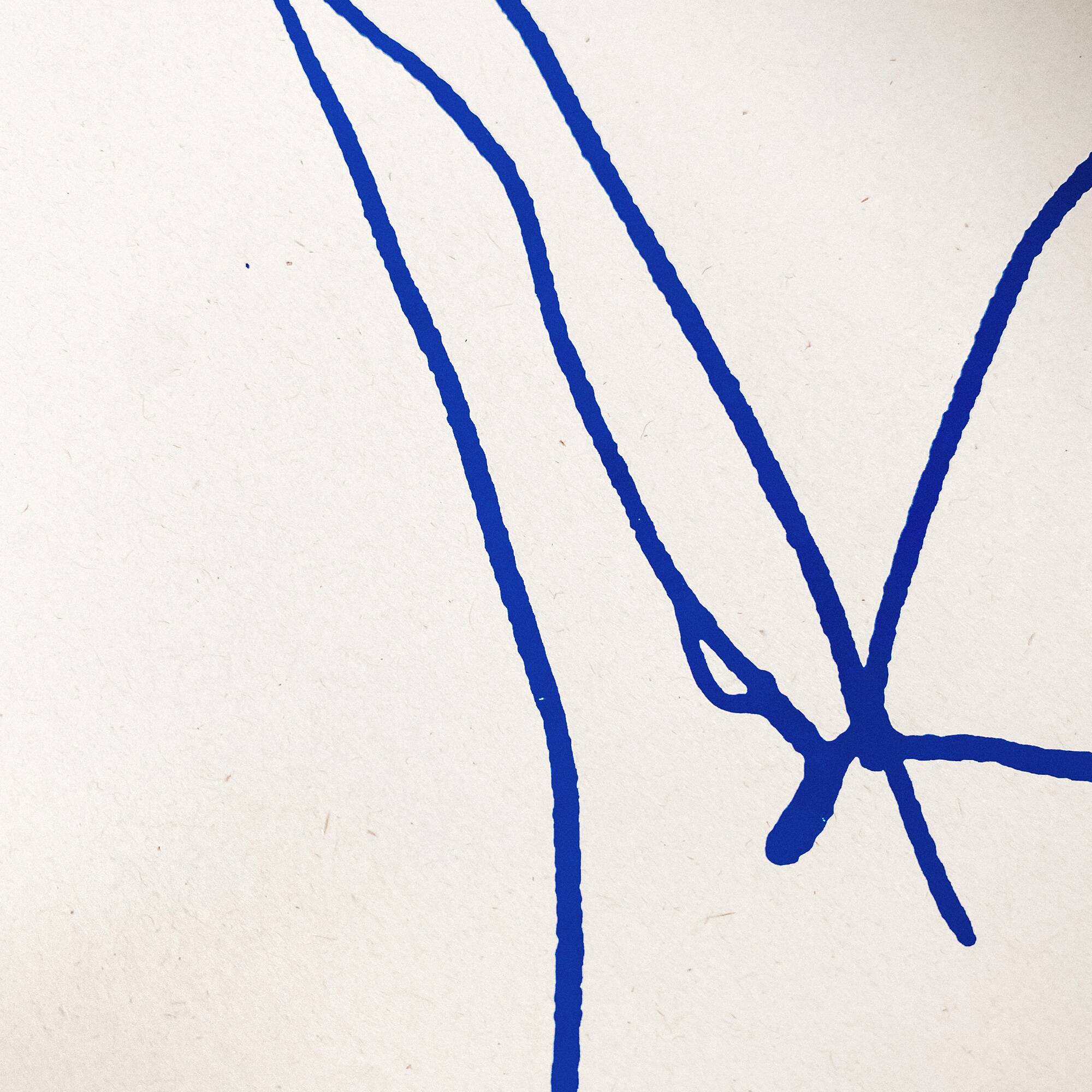 Female Silhouette, Limited Edition Screen Print