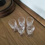 5 glasses