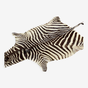 Real zebra skin