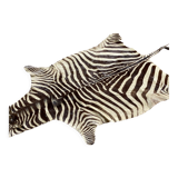 Real zebra skin