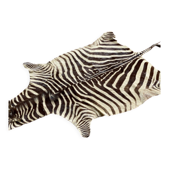Real zebra skin