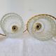 Duo of molded glass pendant lights