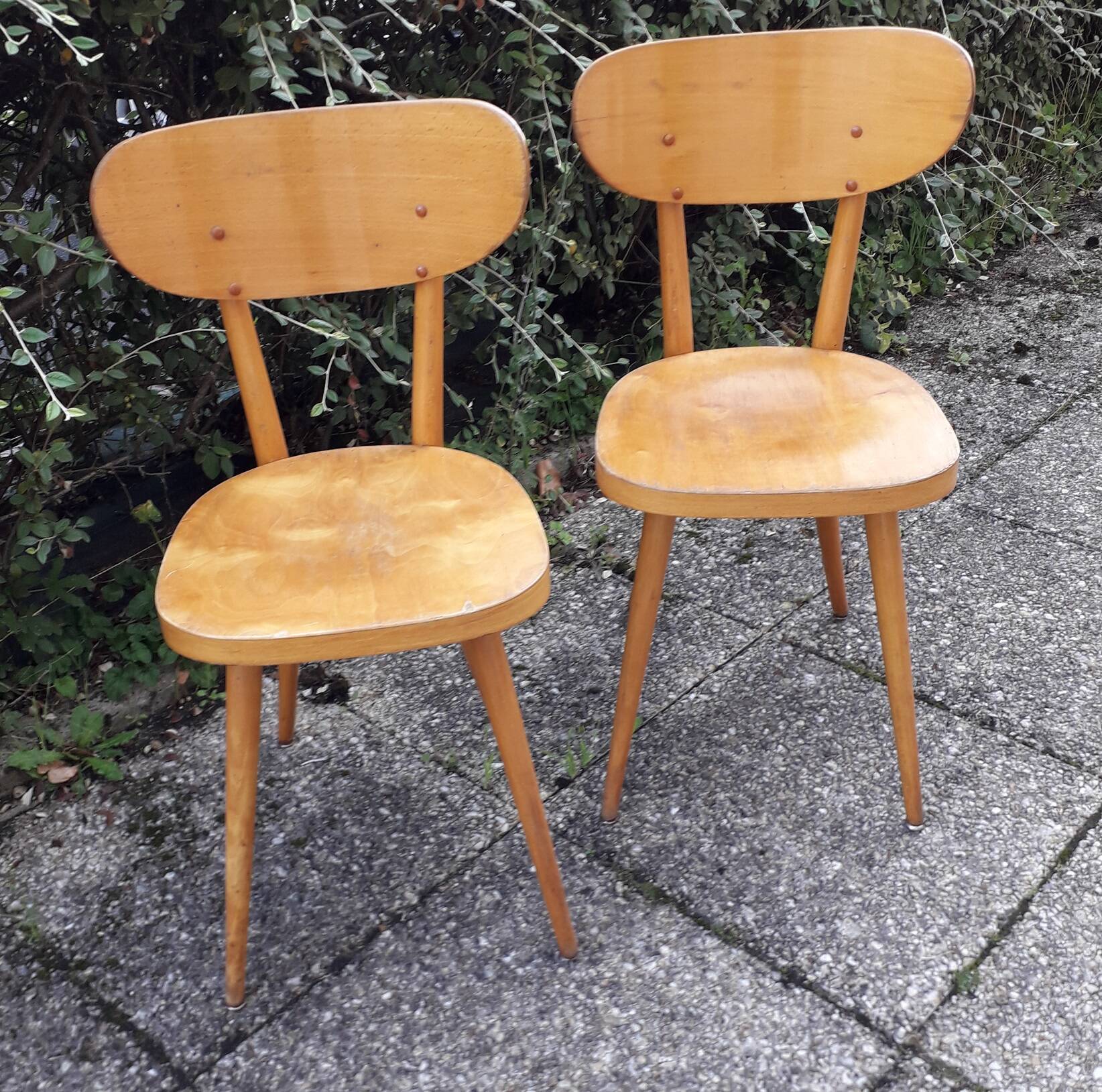 Baumann chairs