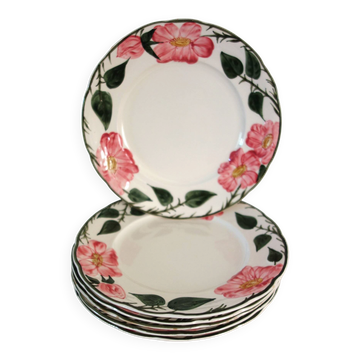 6 flat plates Villeroy & Boch "Wild Rose", 1970
