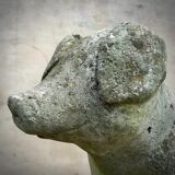 Concrete garden pig