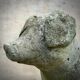 Concrete garden pig
