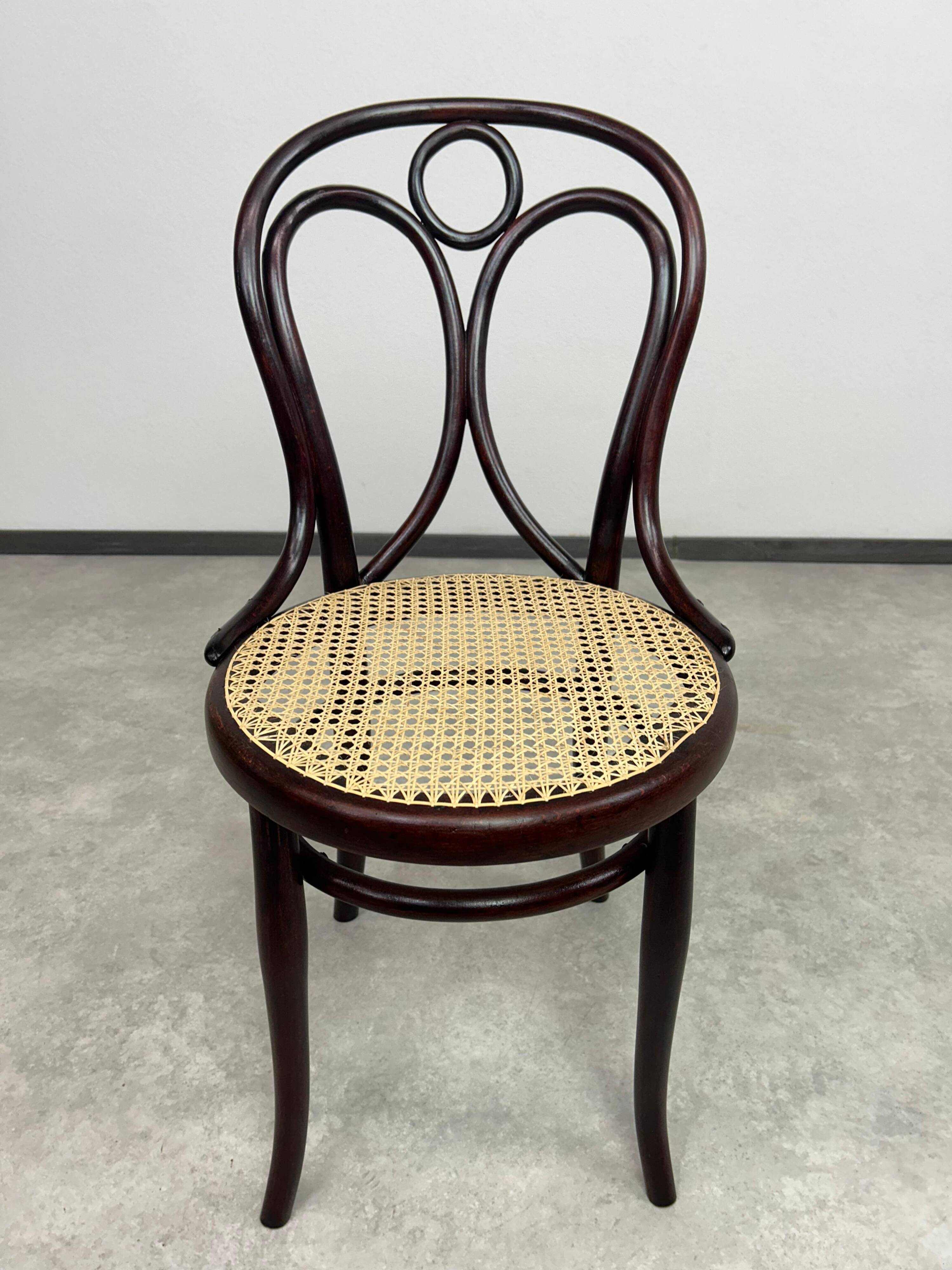 Bentwood dining chair No. 19 by Thonet