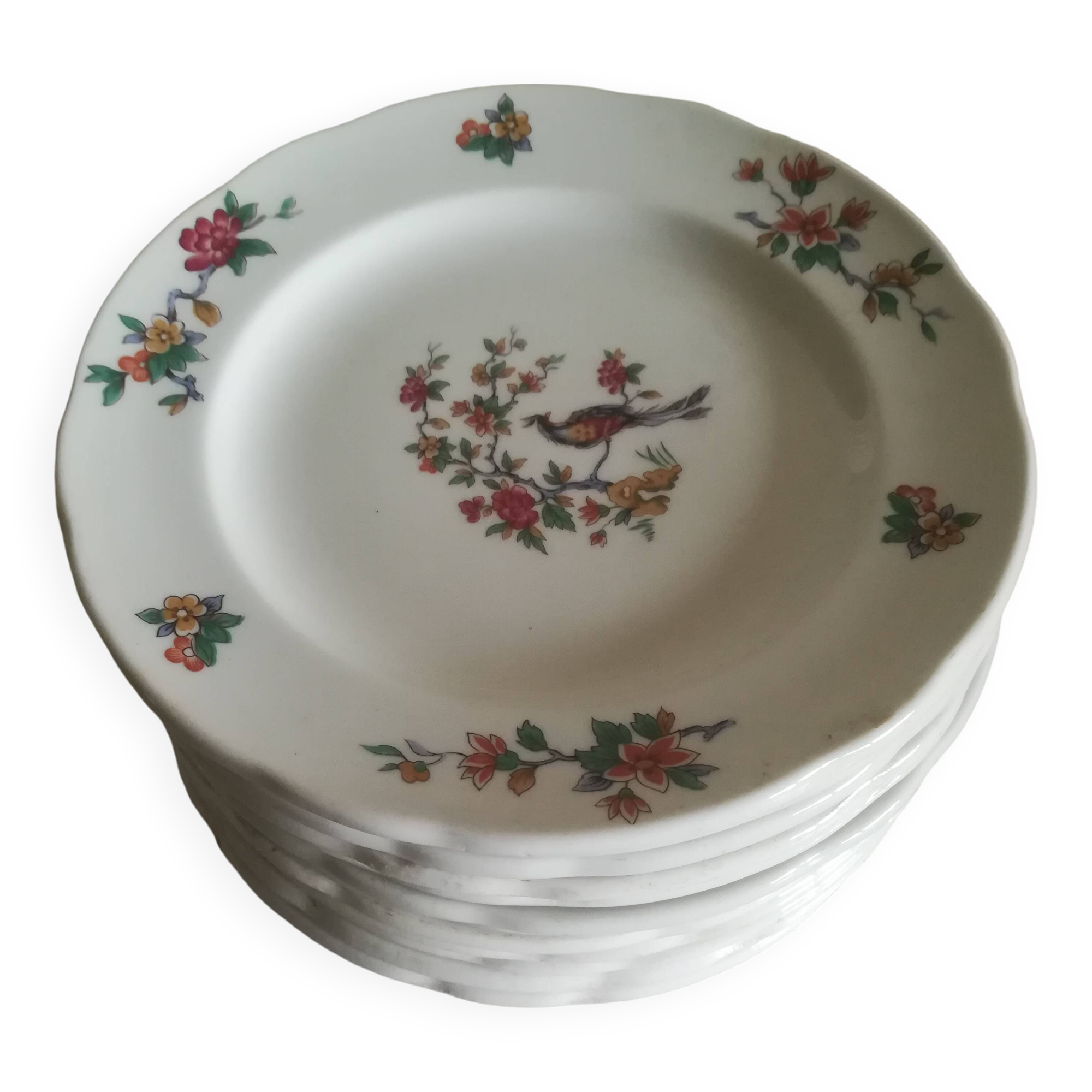 Set of 12 Pyroblanc dessert plates | Bird of Paradise