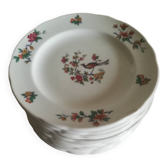 Set of 12 Pyroblanc dessert plates | Bird of Paradise