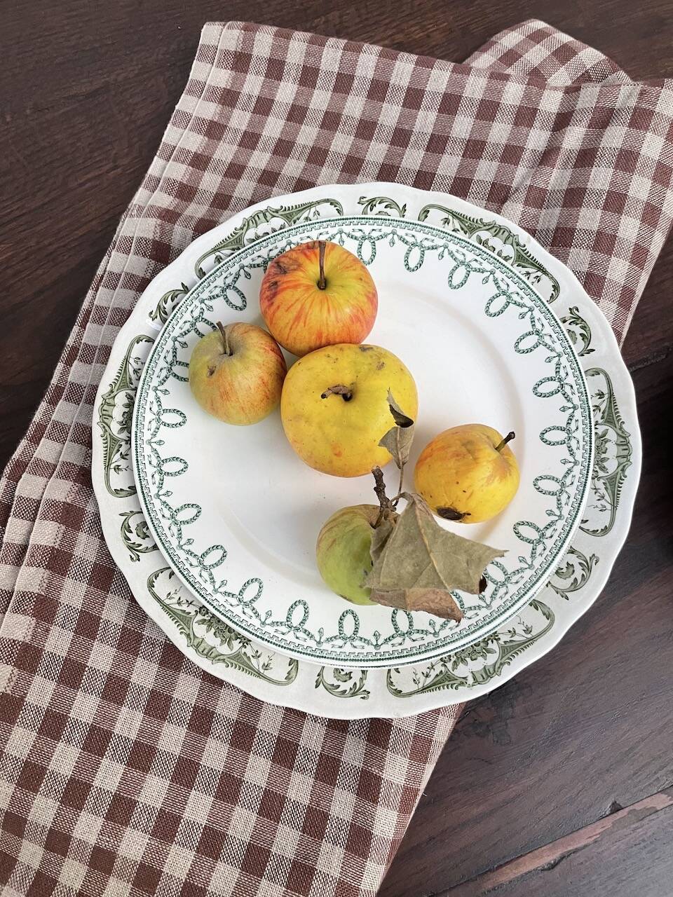 Lot de 11 asiettes Terre de Fer dépareillées