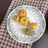Set of 11 mismatched Terre de Fer plates