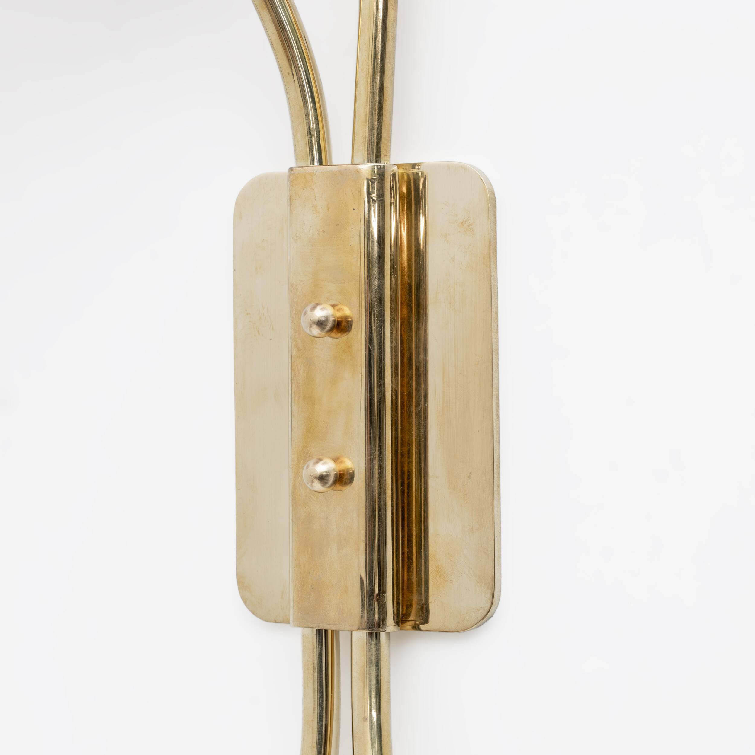 Pair of Tulips Murano Glass and Brass Sconces