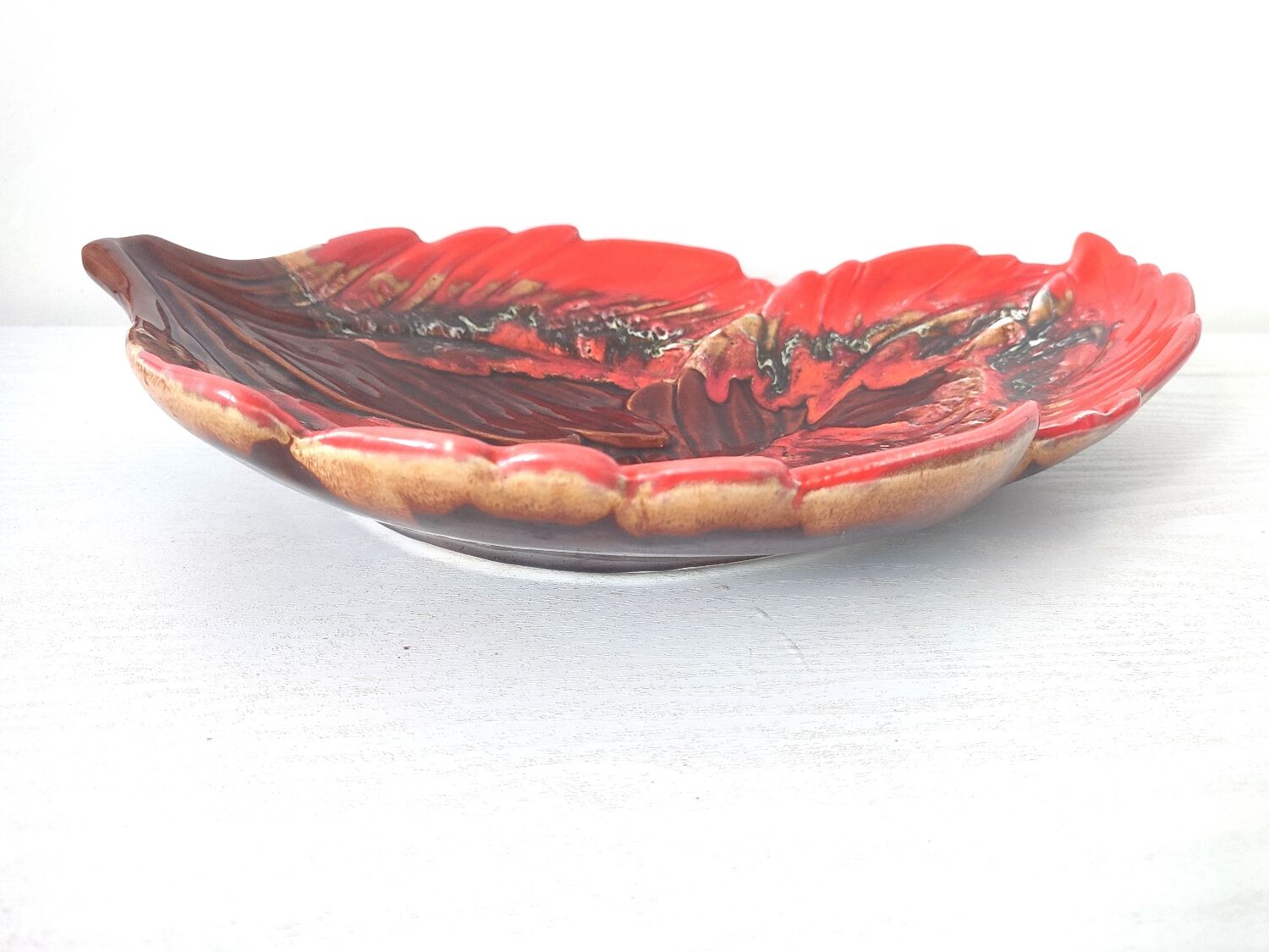 Dish leaves Vallauris