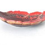 Dish leaves Vallauris